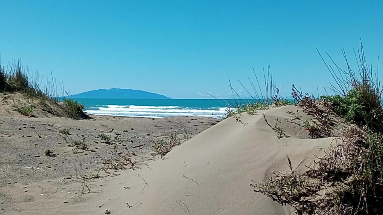 Hotel Lupo Di Mare Marina di Castagneto Carducci Eksteriør billede