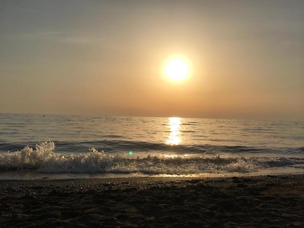 Hotel Lupo Di Mare Marina di Castagneto Carducci Eksteriør billede