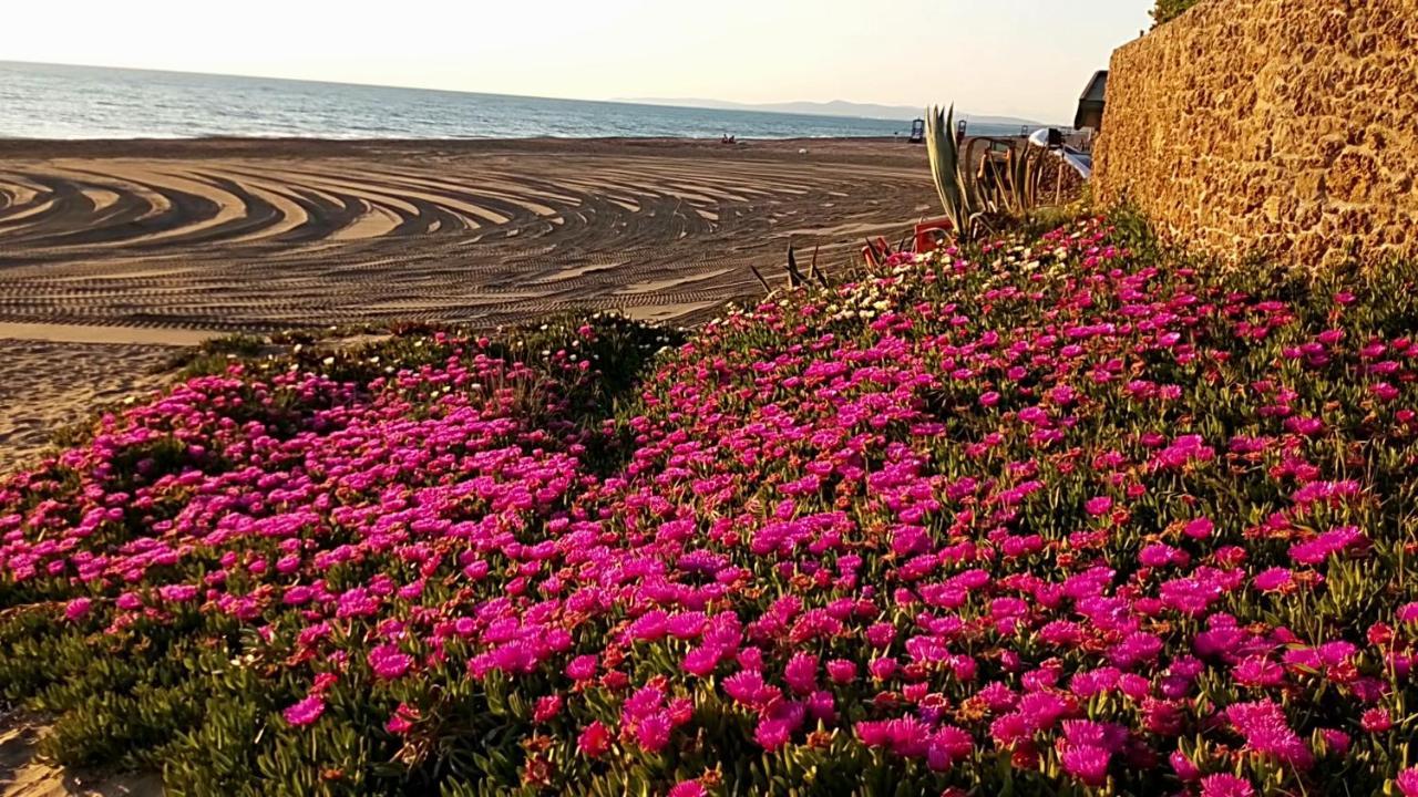 Hotel Lupo Di Mare Marina di Castagneto Carducci Eksteriør billede