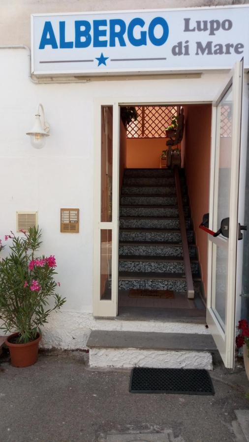 Hotel Lupo Di Mare Marina di Castagneto Carducci Eksteriør billede